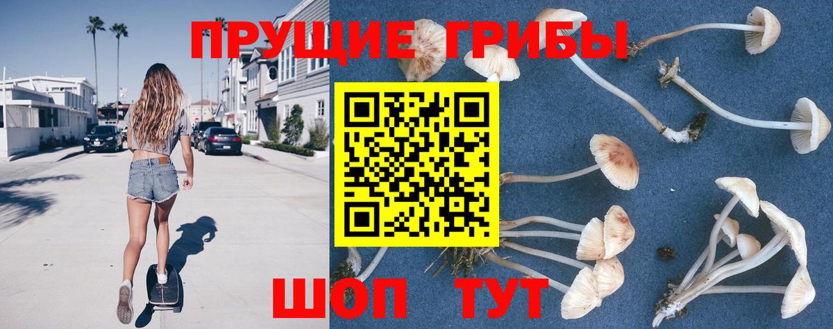 Псилоцибиновые грибы мицелий  Вход с VPN  Саратов  Галлюциногенные грибы мицелий 
